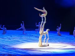 -水秀国际大剧院