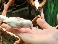 -Zoolung Zoolung动物主题公园(海信广场店)