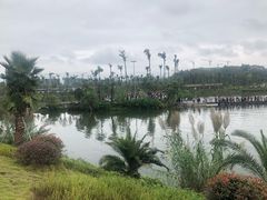 -枫香湖儿童公园