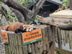 -云南野生动物园