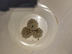 粢毛肉圆-王元兴酒楼