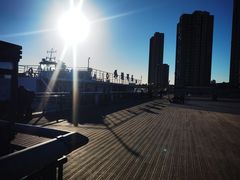 -海河外滩公园