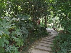 -成都市活水公园