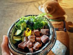 -百好乐宠物友好餐厅(朝外大街店)