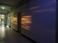 -四川大学(望江校区)