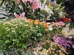 -MCJ-花店(西罗园店)