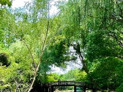 -同里国家湿地公园