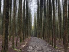 -山王坪喀斯特国家生态公园