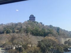 -七欣天香辣蟹火锅(南京建宁路大观天地店)