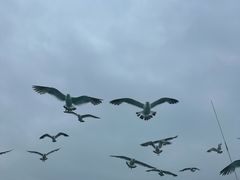 -海驴岛(荣成市)