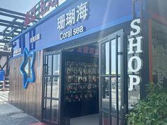 -北戴河碧螺塔海上酒吧公园