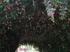 -芜湖方特东方神画