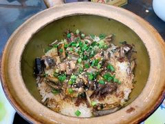-红星光发煲仔饭(文海店)
