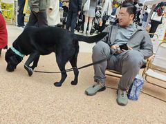 -上海长风大悦城