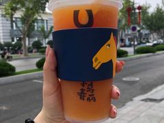 -春丽小马(济南恒隆广场店)