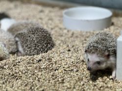 -酷嗒动物文化乐园(cutezoo西溪乐天城店)