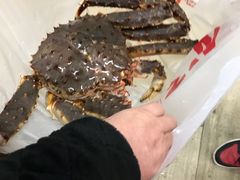 -宝燕海货工场(长江国际店)