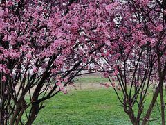 -汉长安城未央宫国家考古遗址公园