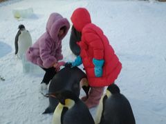 -陆地游轮吉林神农温泉