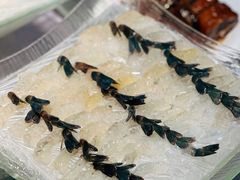 -联邦酒楼