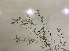 -小团圆糖水铺(襄阳南路店)