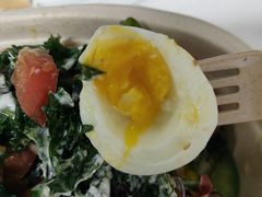 -油梨树AVOCADO TREE(嘉里中心店)