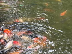 -珠海圆明新园