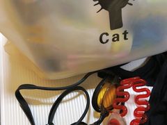 -同济大学四平路校区游泳馆