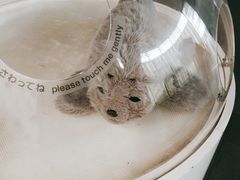-日本科学未来馆