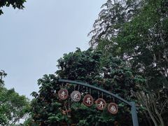 -中国科学院西双版纳热带植物园