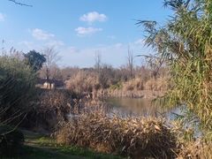 -白鹭湾湿地公园