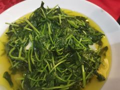 -蔡阿水羊肉店