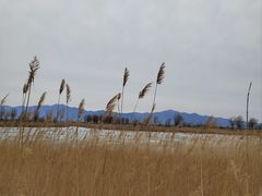 -野鸭湖国家湿地公园