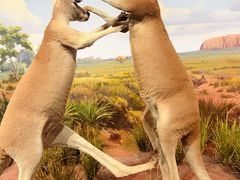 -陕西自然博物馆