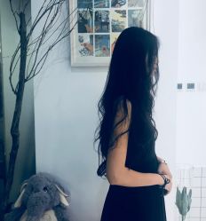 -大象造型