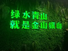 -万绿园