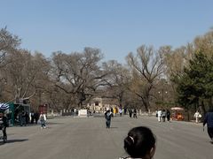 -北陵公园