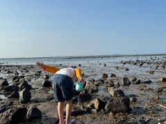 -硇洲岛旅游区