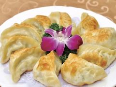 饺子-小金鬼·煎饺·鸽子汤
