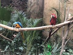 -杭州开元森泊度假乐园