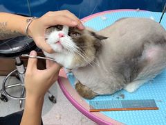 -FAELING PETS美天灵宠物(富力广场店)