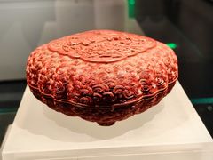 -广西壮族自治区博物馆