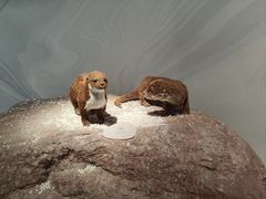 -中国湿地博物馆