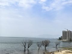 -观澜小洱海