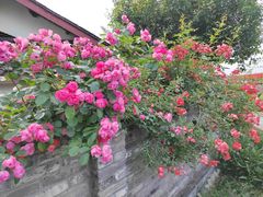 -中国天府农业博览园