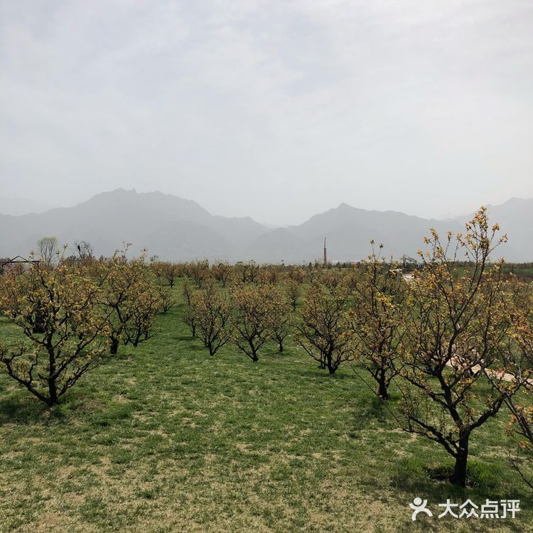 长安唐村