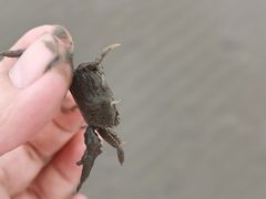 -奉贤海滩