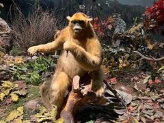 -陕西自然博物馆