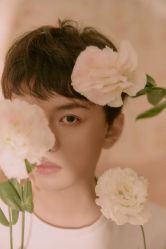 -WAVE SODA摄影工作室