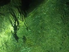 -寻龙山风景旅游区